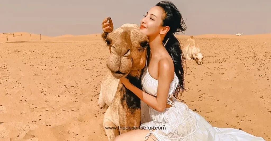 Camel Ride in Desert Safari Dubai.