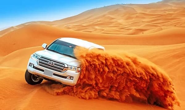 Morning Desert Safari .
