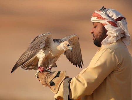 Falconing in Desert Safari Dubai