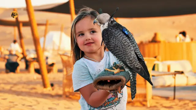 Desert Safari in Dubai with Falcon