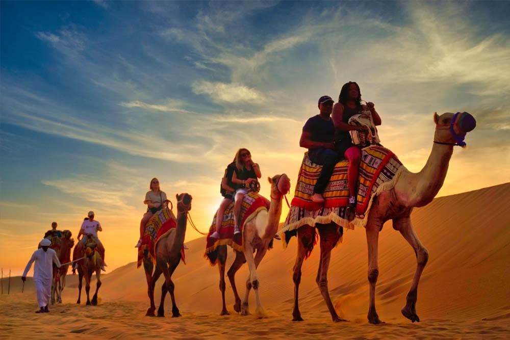 Desert Safari Dubai [Camel Ride]
