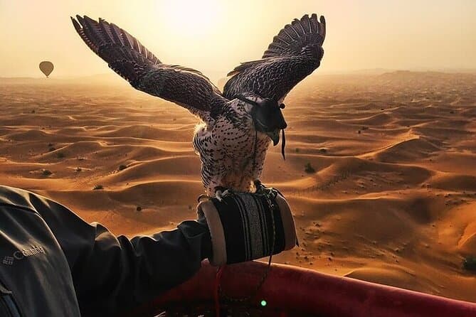Desert Safari Dubai and Falcon Show