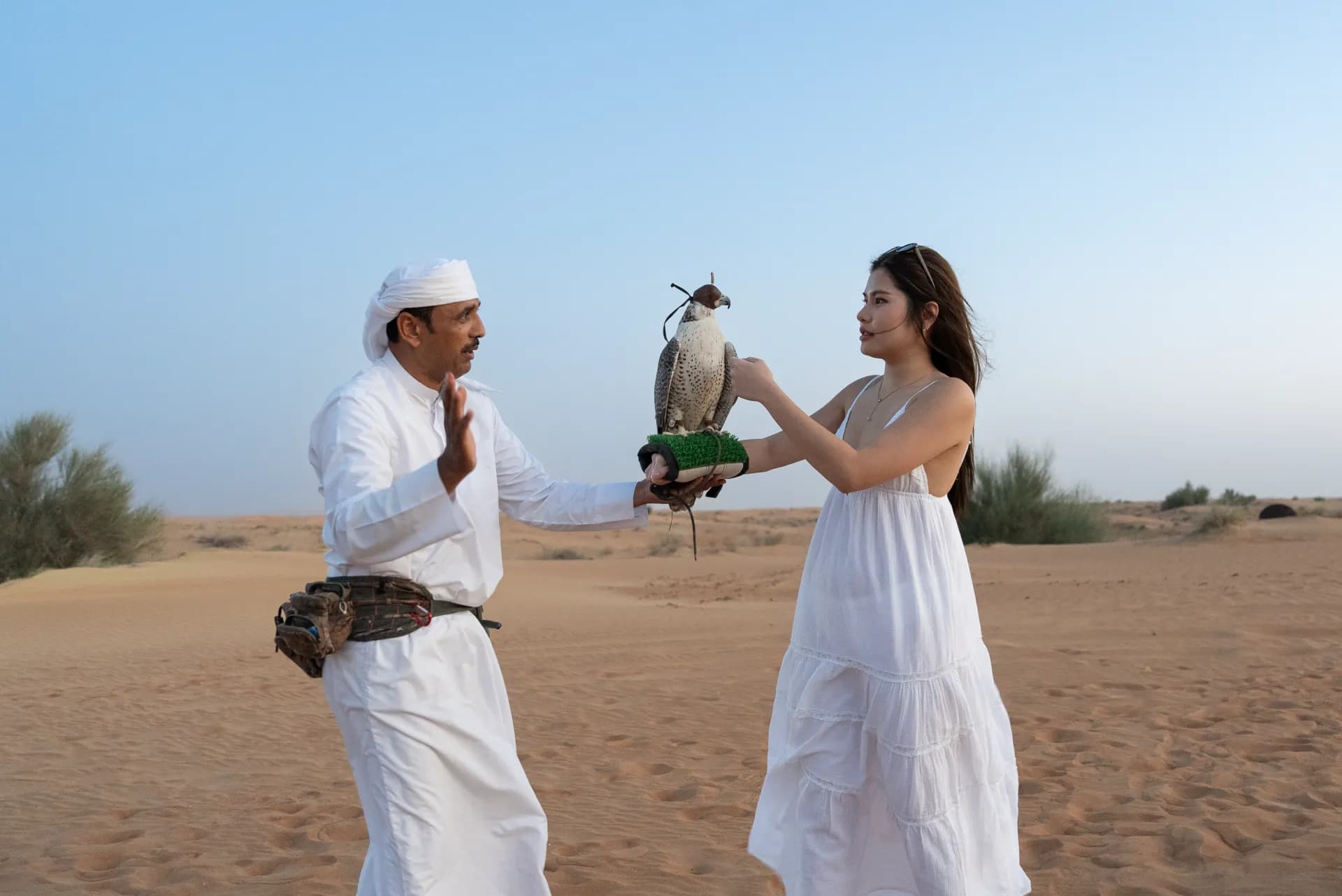 Falcon Show in Safari Desert Dubai
