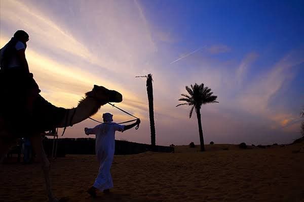 Morning Evening Desert Safari Dubai